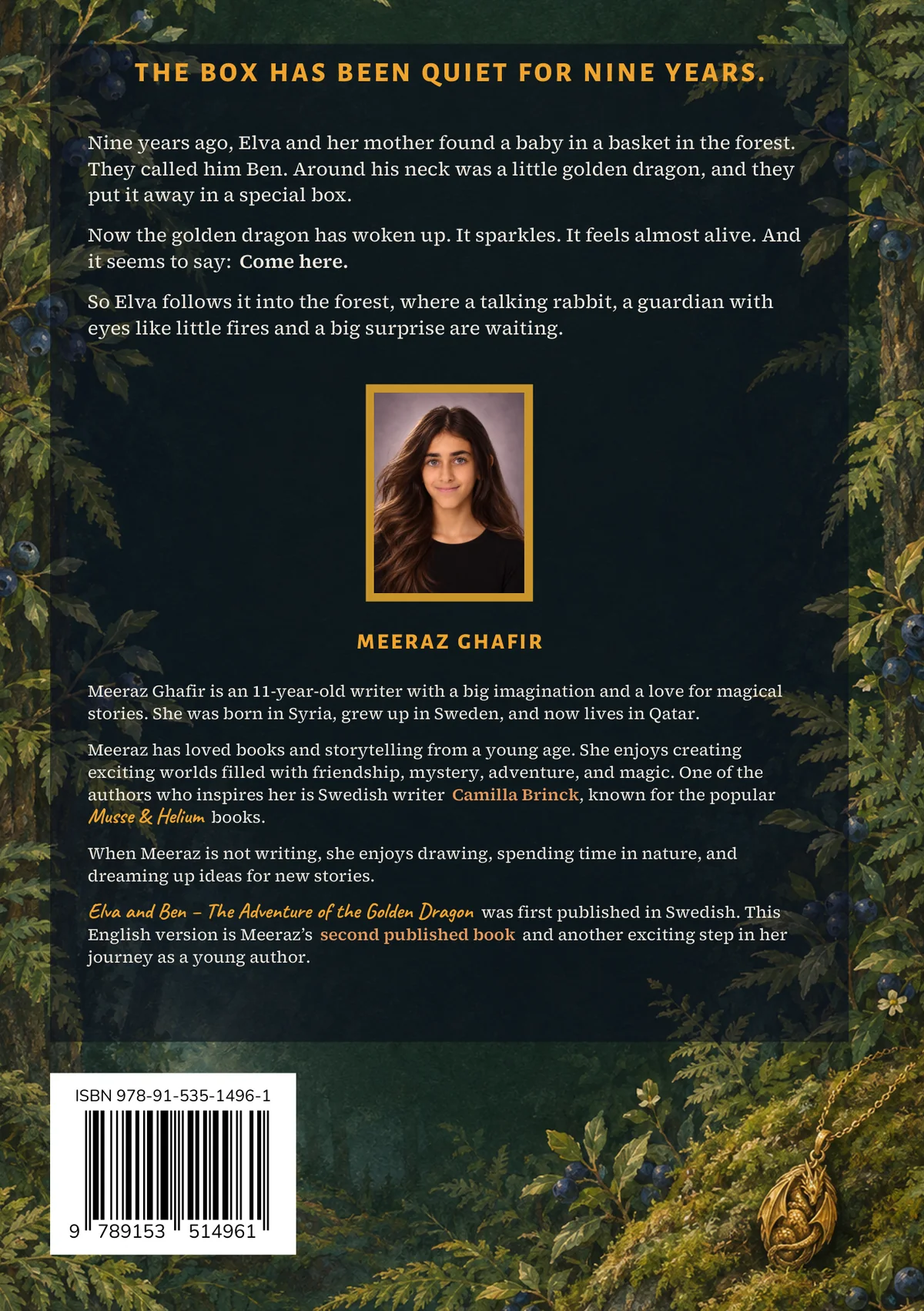 The back cover: the blurb and a portrait of the author